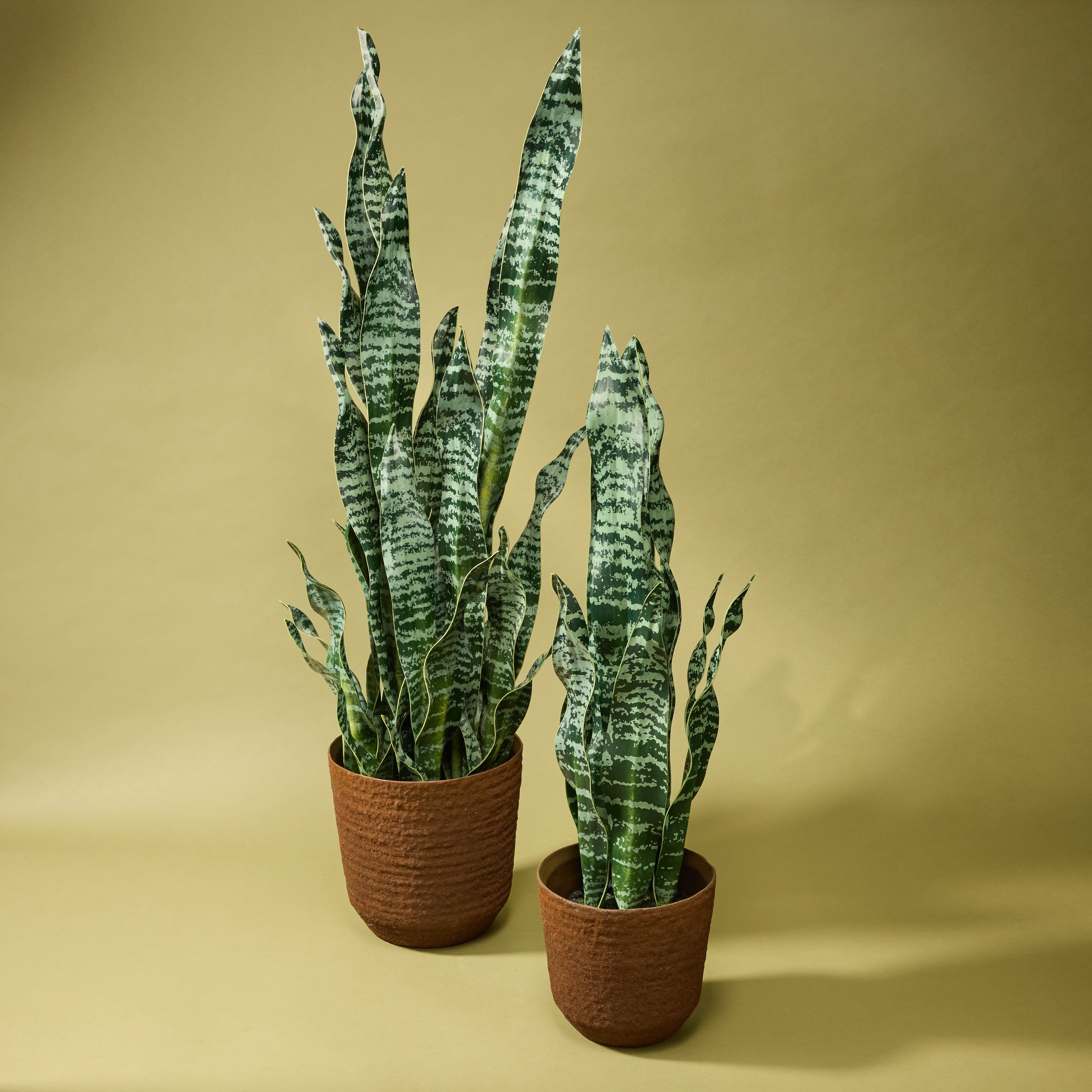 Palermo Rustic Ceramic Planter - 15cm Indoor Flower Pot for Succulents, Herbs & Small Plants | Perfect for Home, Office & Garden Decor