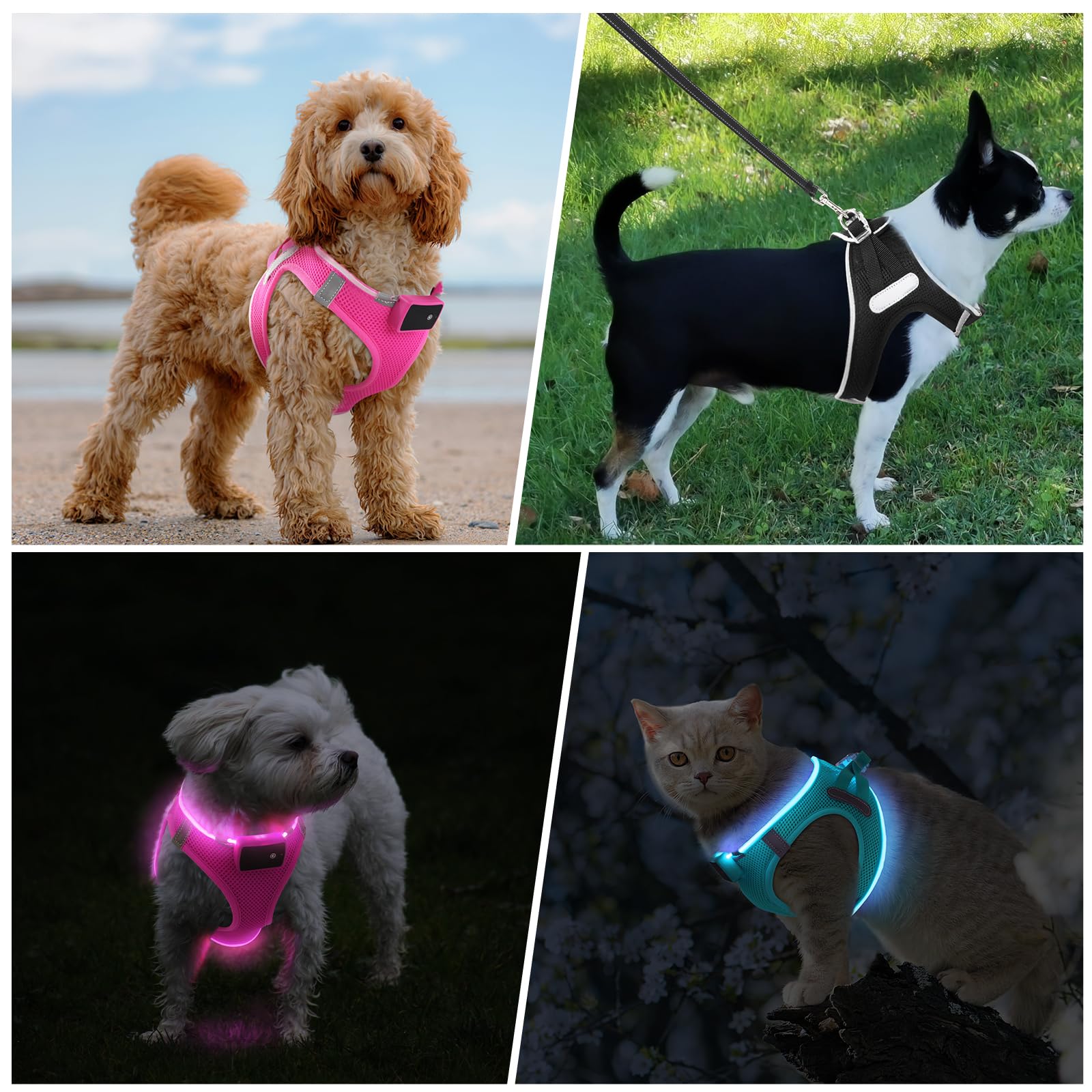 LED Dog Harness with Flashing Lights - Rechargeable No-Pull Reflective Vest for Small & Medium Dogs - Night Walking Safety Gear for Puppies (Pink, Small) - Perfect for Evening Walks, Jogging & Outdoor Adventures