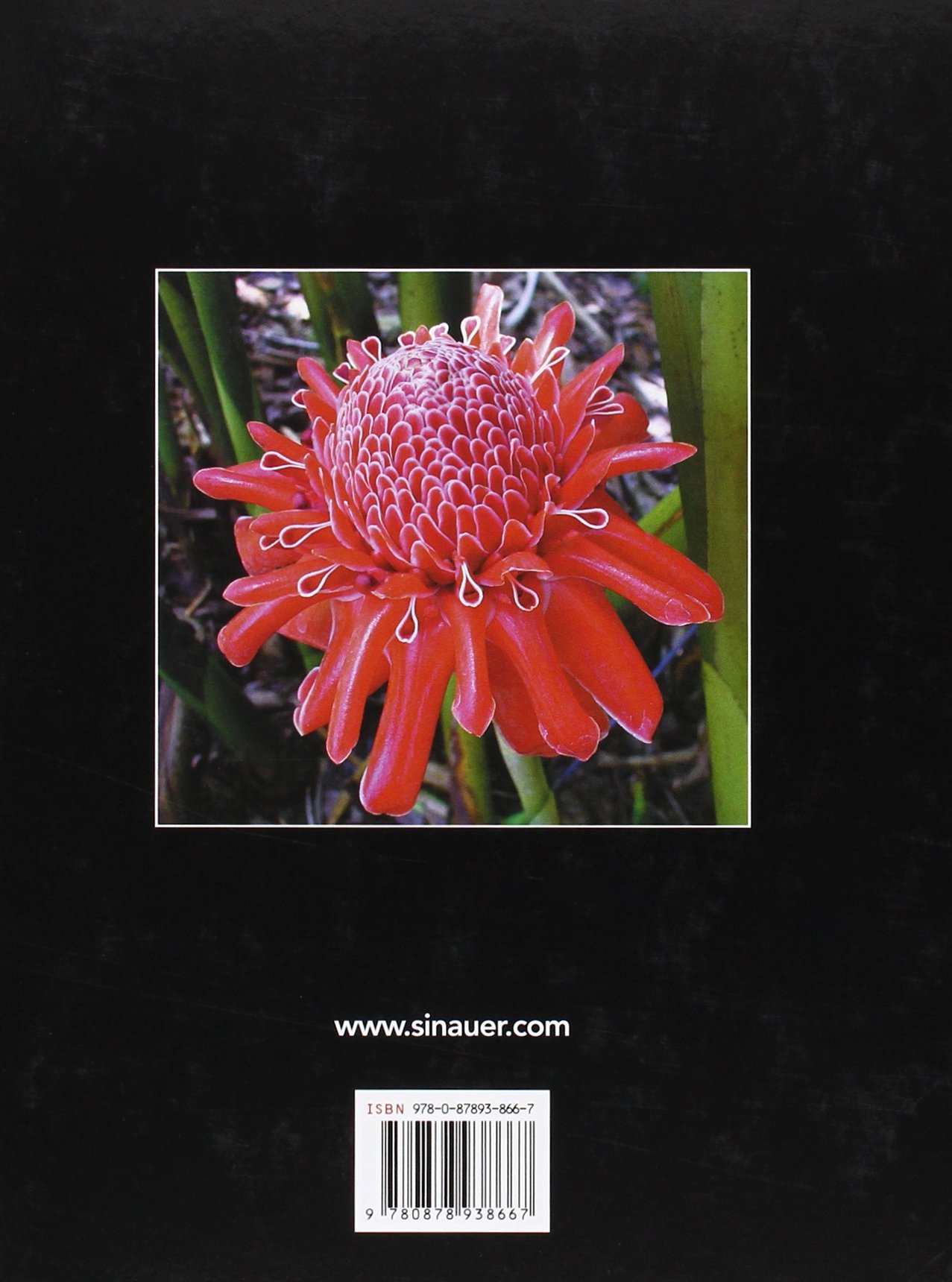 Plant Physiology Textbook - Comprehensive Guide to Plant Biology & Growth Processes for Students, Researchers & Gardeners | Perfect for Botany Studies & Home Gardening