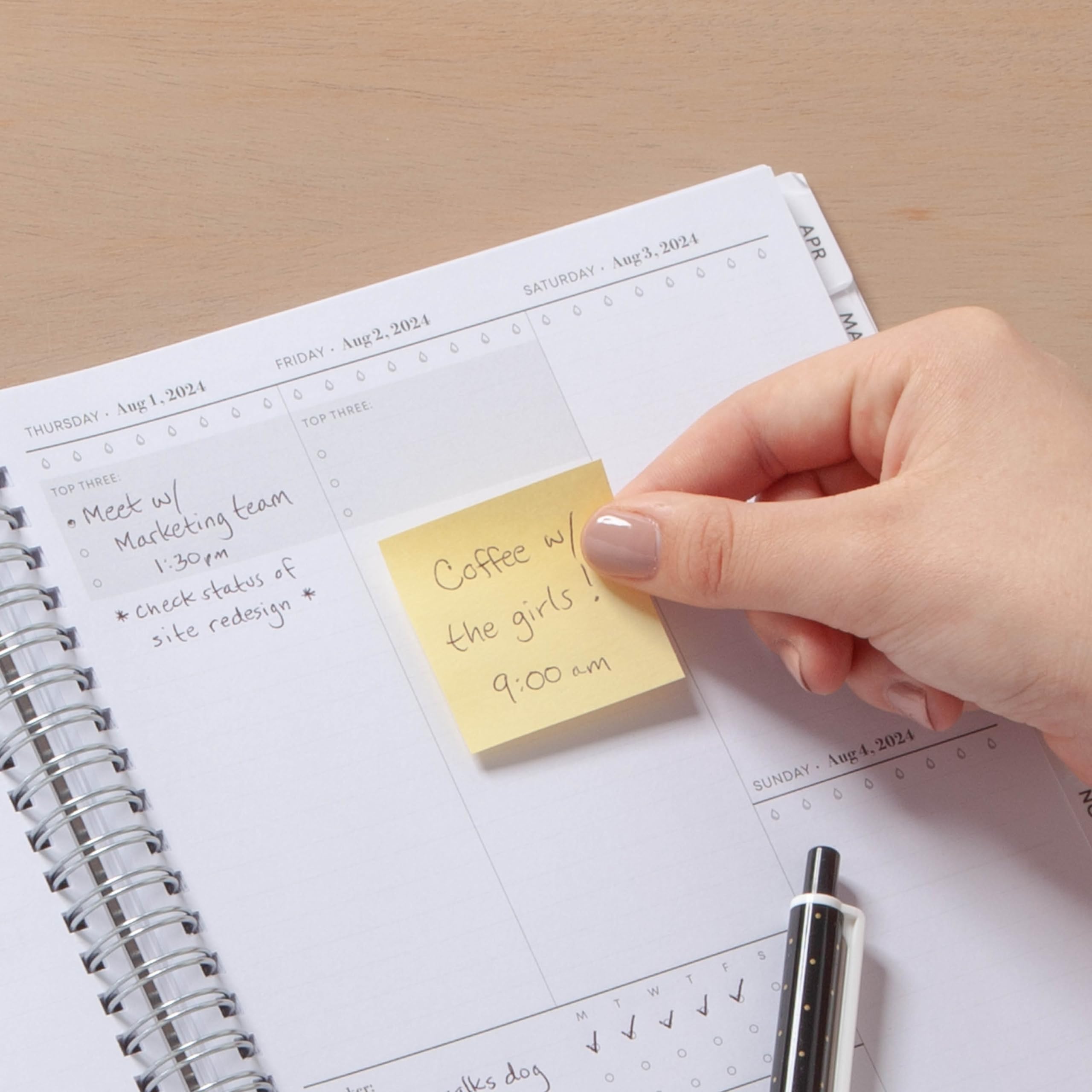Blue Sky 2024-2025 Academic Planner - Weekly & Monthly Calendar with Flexible Wirebound Cover, 7x9 Inches, Tropical Frost Design (150675) - Perfect for Students, Teachers & Office Organization