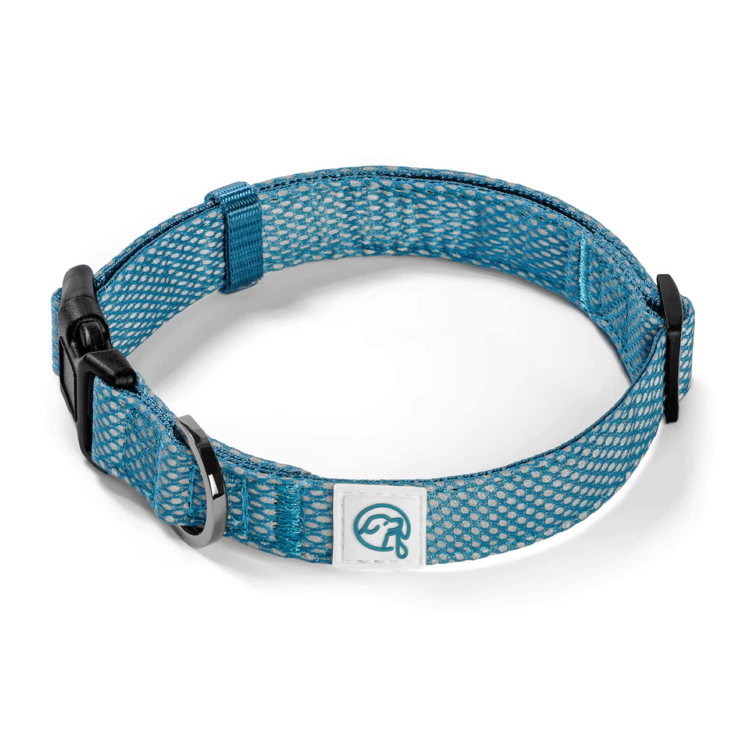 Embark Illuminate Reflective Dog Collar for Small Dogs - Adjustable Padded Nylon Collar with Buckle for Nighttime Visibility | Perfect for Night Walks, Jogging & Outdoor Adventures (Blue)