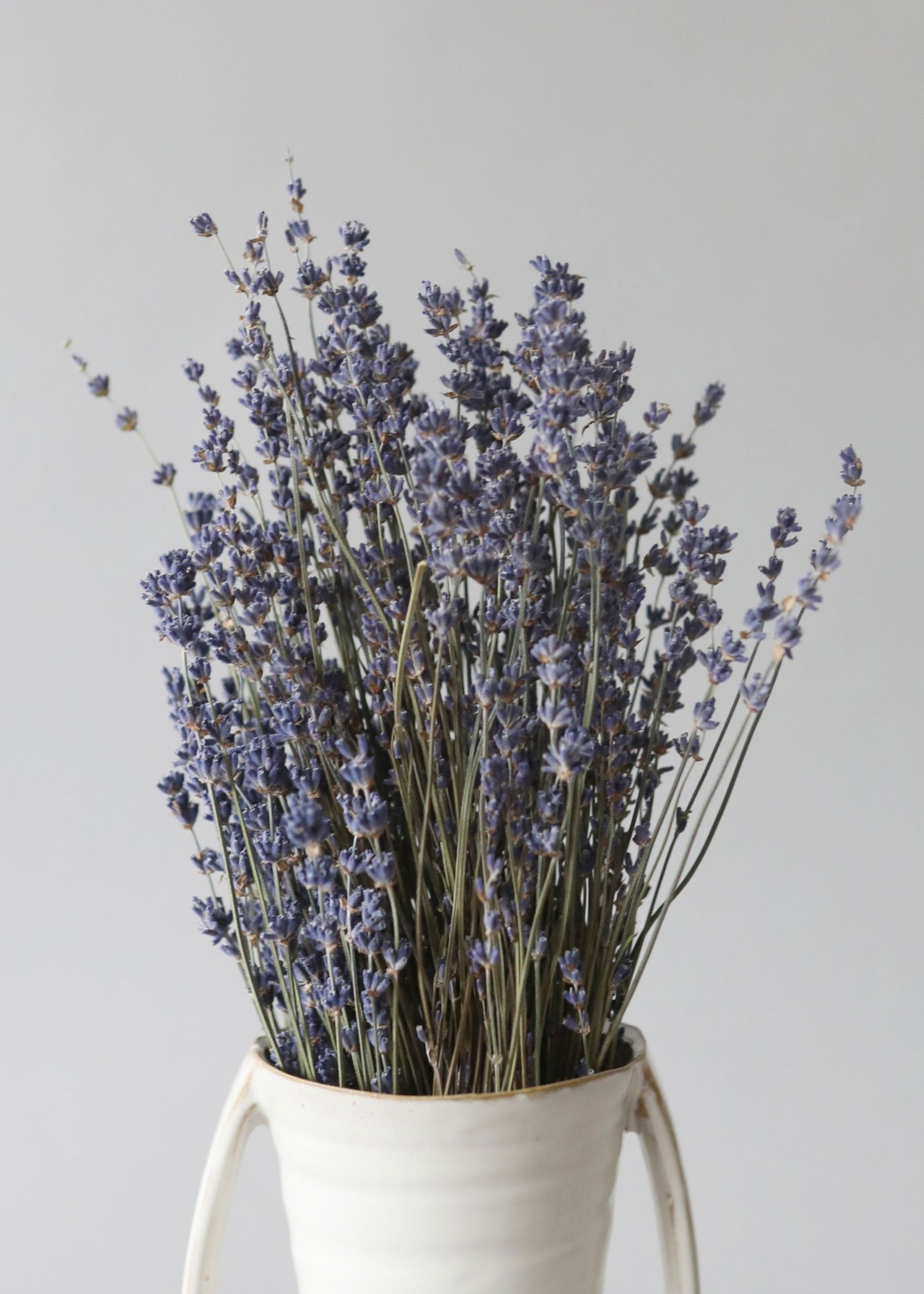 Natural Fragrant Dried Lavender Bundle - 6 or 14 Stems | Aromatherapy, Home Decor & DIY Crafts | Perfect for Relaxation, Wedding Decor & Gift Giving