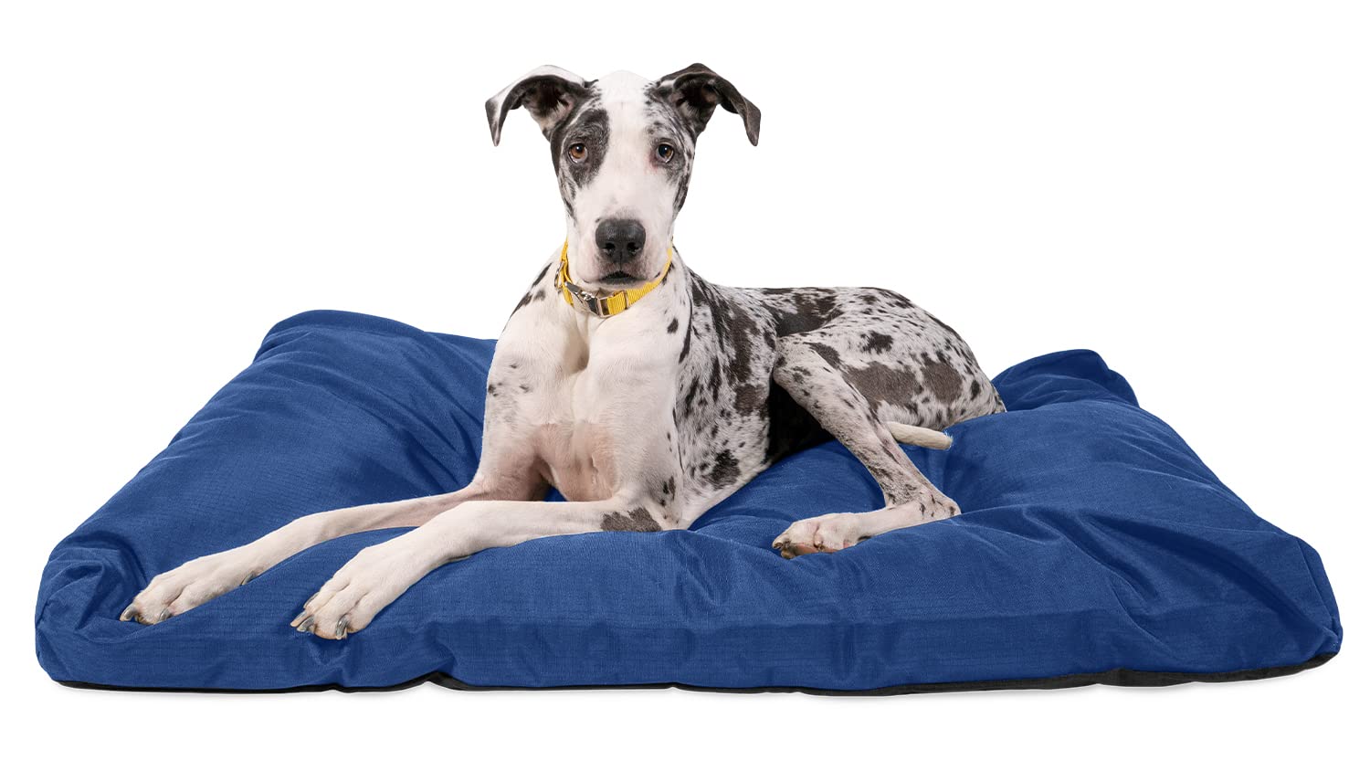 K9 Ballistics XXL Tough Rectangle Dog Bed - Durable, Water-Resistant & Washable with Removable Cover for Large Dogs 68