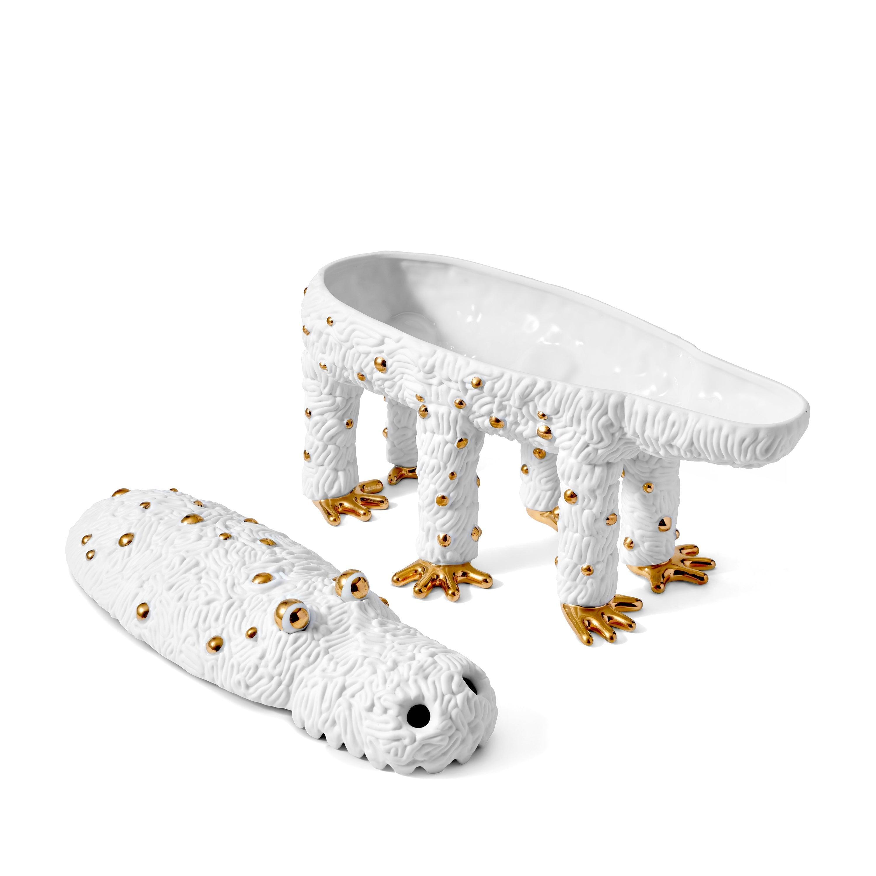 Haas Pedro the Croc Box - Limited Edition Collectible (Only 250 Made) - Perfect for Home Decor, Gift Giving & Crocodile Lover Collections