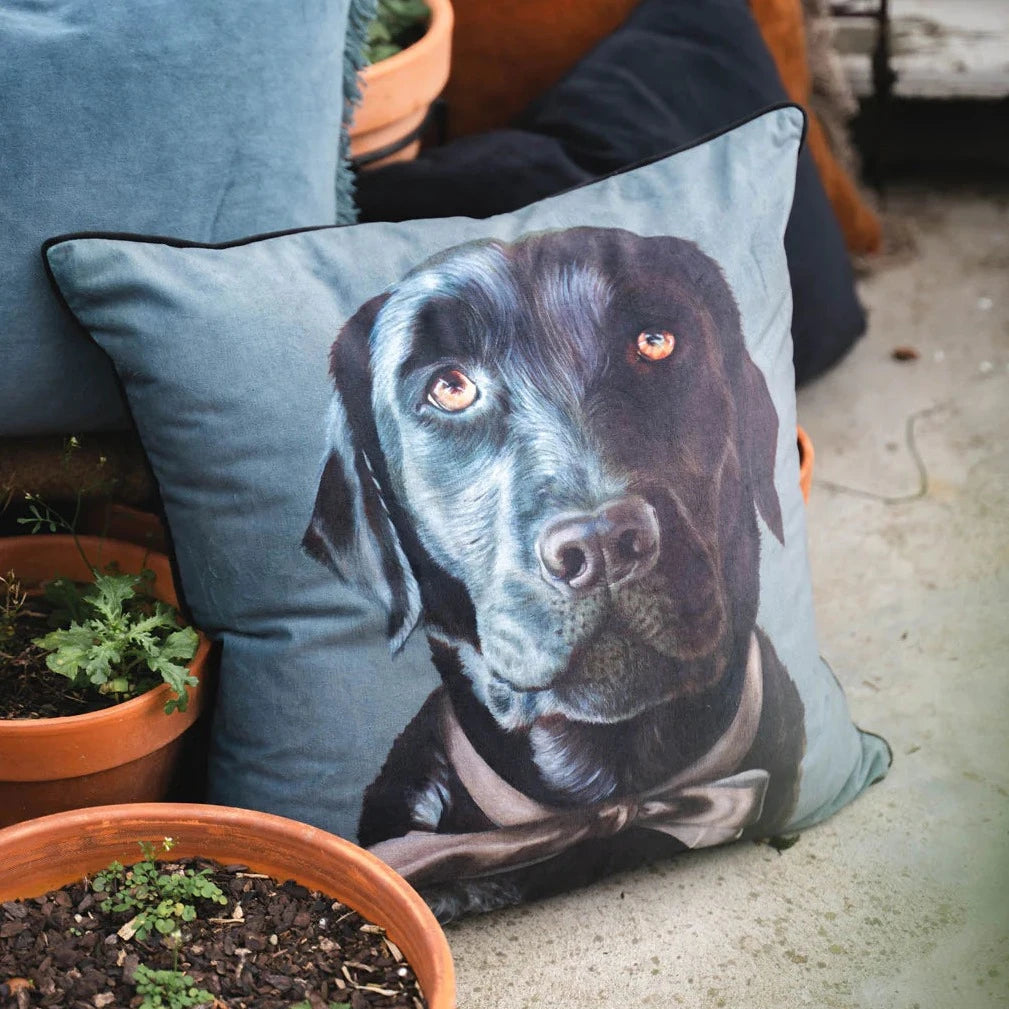 Premium 50x50cm Dog Cushion for Labrador - Soft Pet Bed by MM Linen - Perfect for Dog Beds, Sofas & Home Decor
