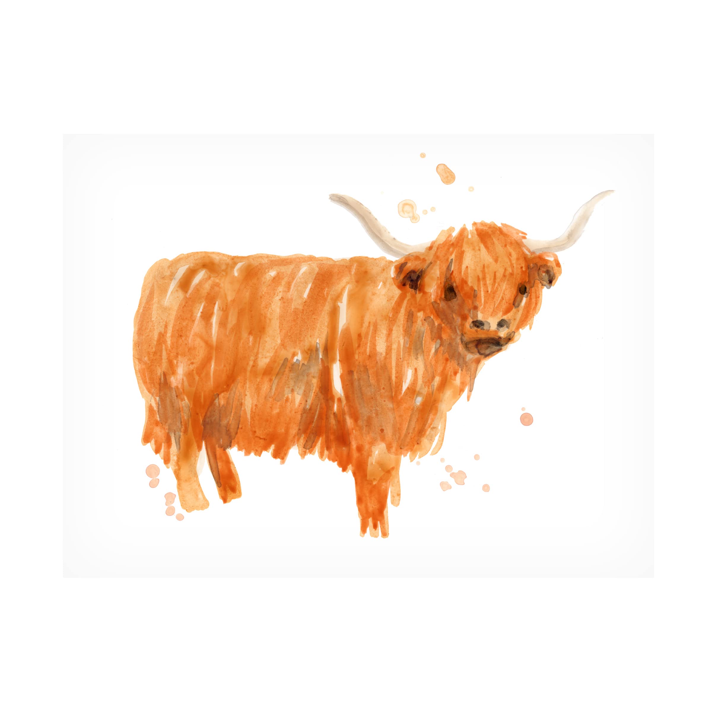 Highland Squad I Canvas Art Print by June Erica Vess - Scottish Highland Cow Wall Decor for Living Room, Bedroom & Office
