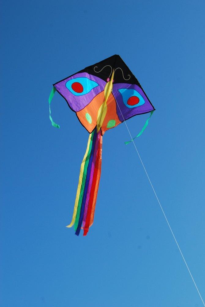 Butterfly Large Easy Flyer Kite - Purple & Orange Outdoor Kite for Kids & Adults - Perfect for Beach, Park & Family Fun Days