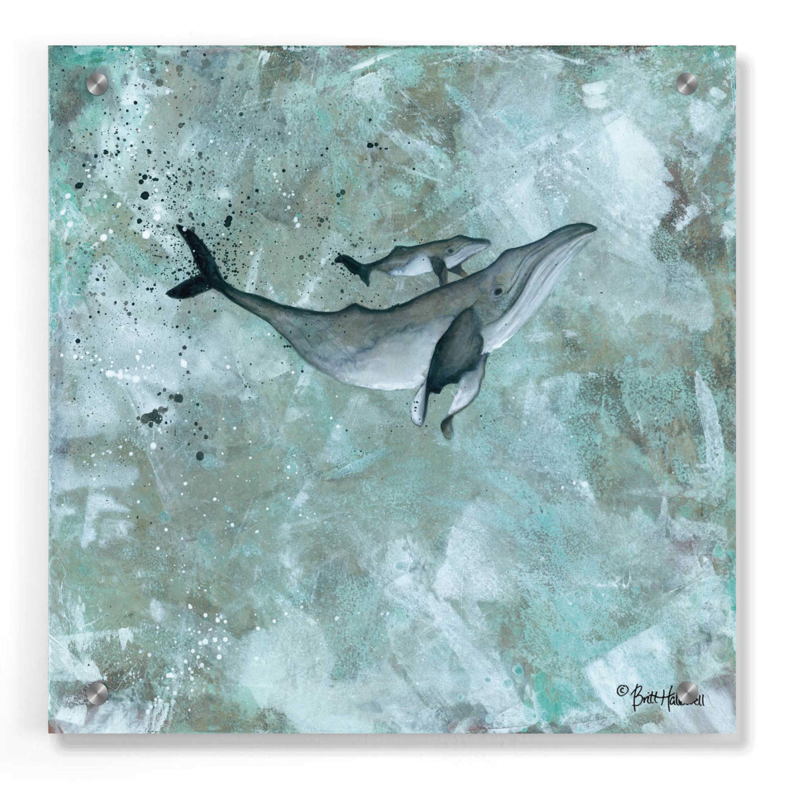 Epic Art 'Simplicity Humpback' by Britt Hallowell - 36x36 Inch Acrylic Glass Wall Decor, Modern Whale Painting for Living Room, Bedroom & Office