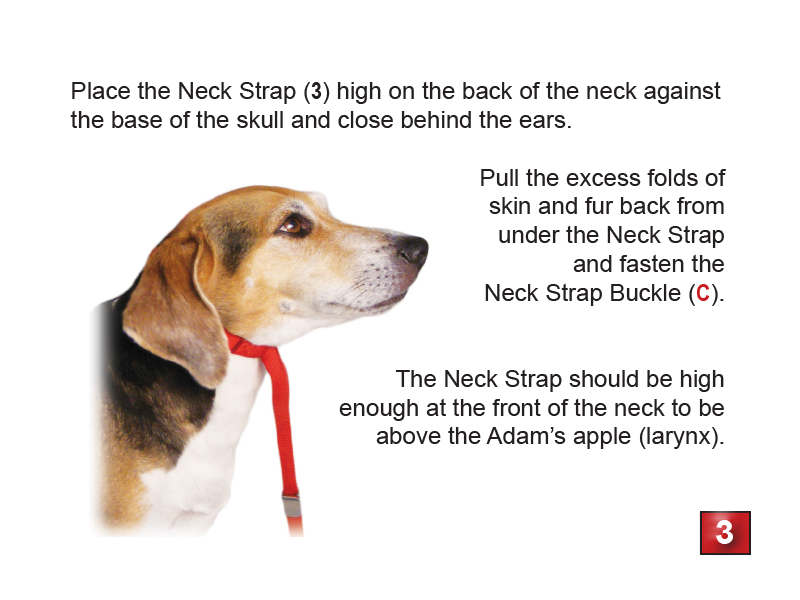 Gentle Leader Headcollar - No-Pull Dog Training Collar for Large & Small Dogs | Perfect for Walking, Training & Behavioral Control