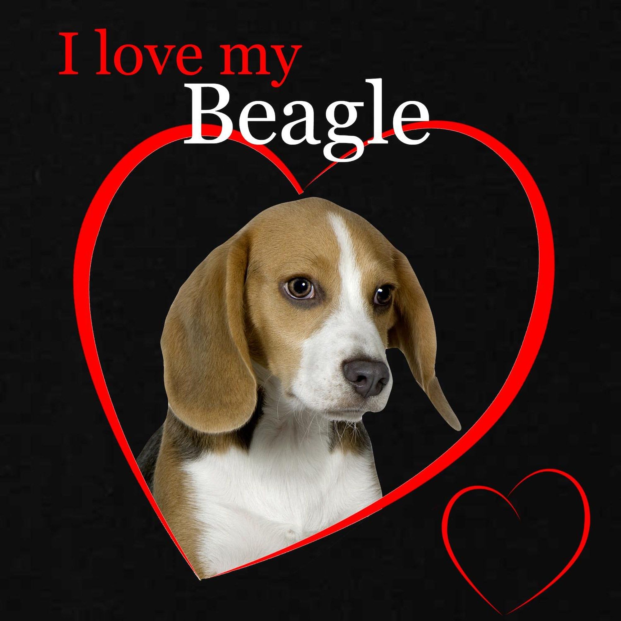 Beagle Sweatshirt for Women & Men - Classic Crewneck Pullover in Dark Color | Soft Cotton Blend | Perfect for Dog Lovers, Casual Wear & Outdoor Activities