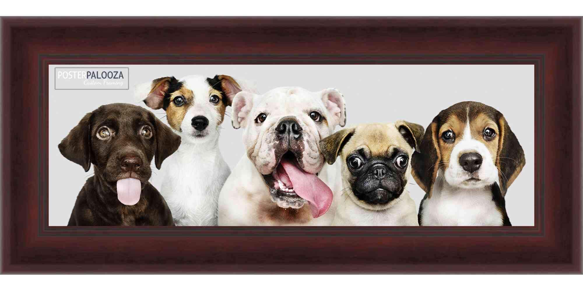 13.5x40 Modern Mahogany Wood Panoramic Picture Frame with UV Acrylic, Backing & Hanging Hardware - Perfect for Wall Art, Family Photos & Large Poster Displays in Living Rooms, Offices & Galleries