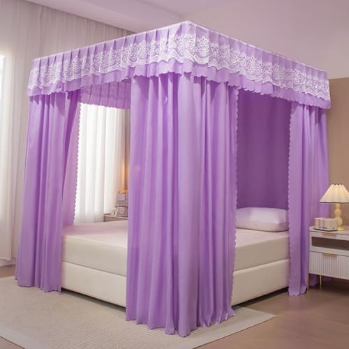 Solid Purple