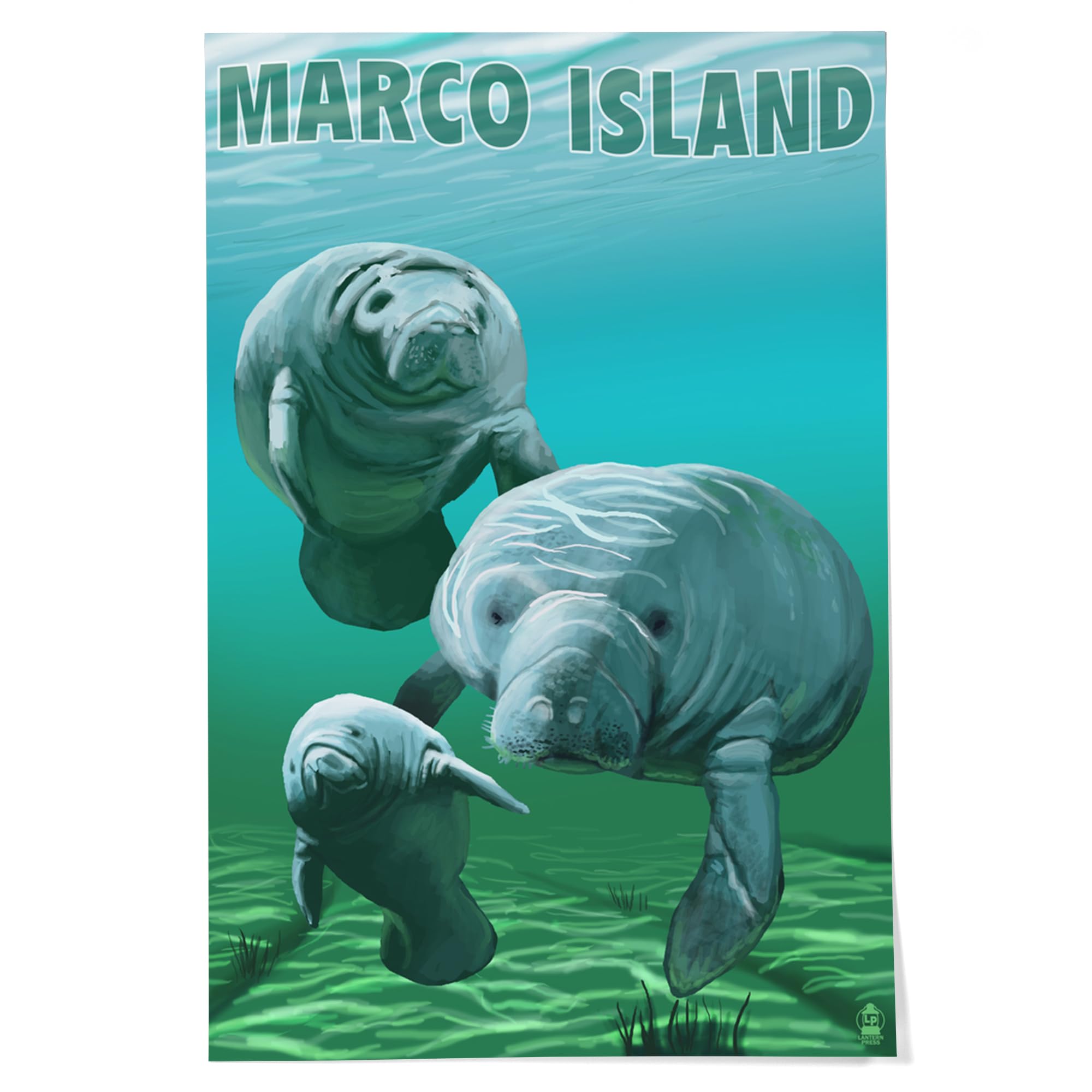 Lantern Press 24x36 Inch Giclee Art Print - Marco Island Manatees Wall Decor | Premium Canvas Painting for Living Room, Bedroom & Office