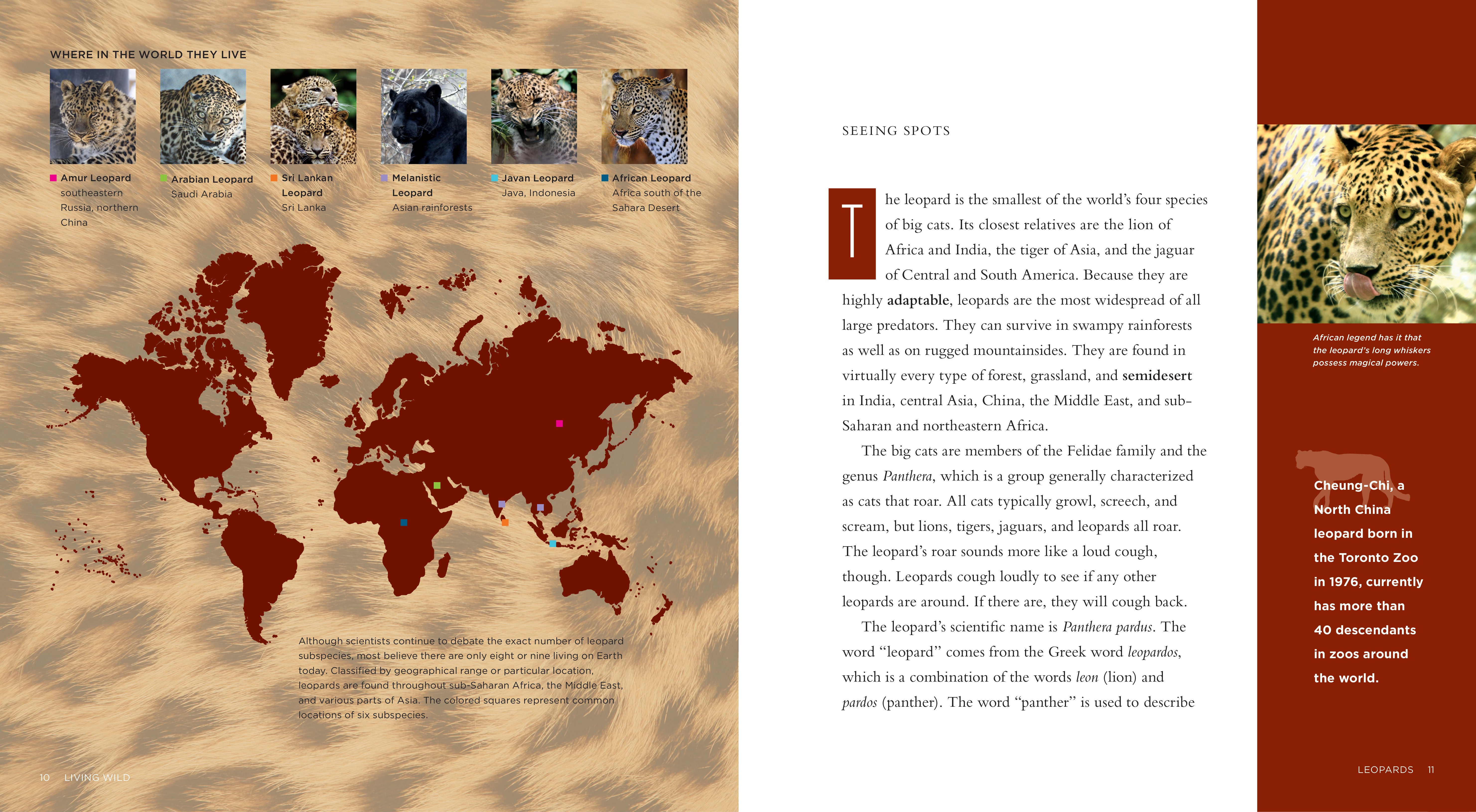 Leopards Book ISBN 978-1-58341-972-4 - Wildlife Education & Nature Exploration for Kids & Adults