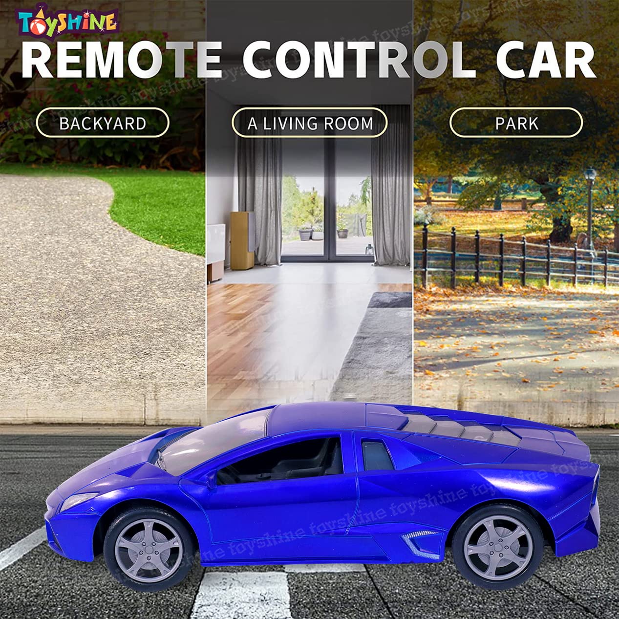 Toyshine 1:16 Champion Scale Remote Control RC Car - High Speed Fast Racing Toy for Kids & Adults, Blue - Perfect for Indoor & Outdoor Play, Racing Competitions, Birthday Gifts