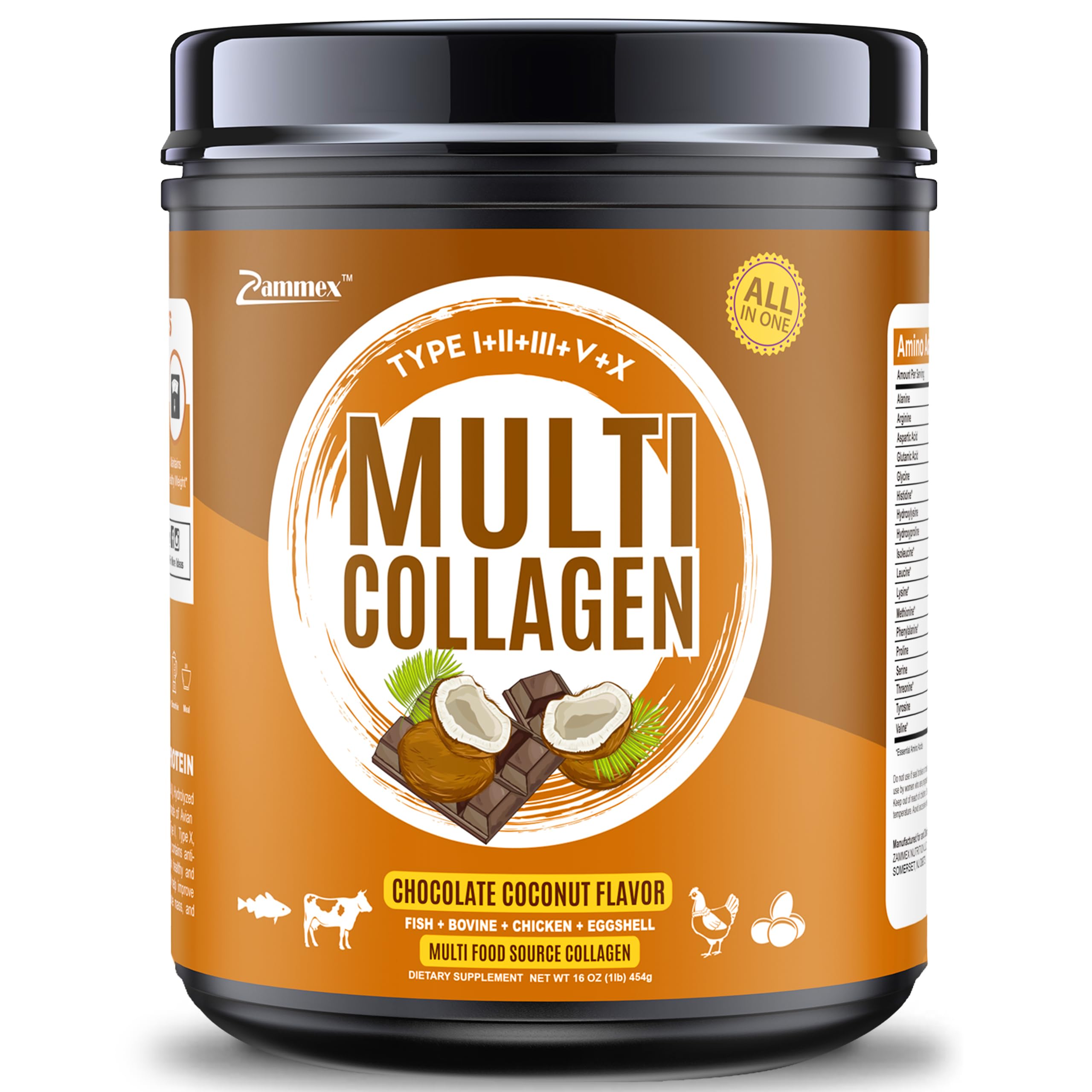 Zammex Multi Collagen Peptides Powder - Types I, III, V & X - Chocolate Flavored Hydrolyzed Collagen Protein Powder for Hair, Skin & Gut Health - 1LB (41 Servings) - Perfect for Smoothies, Coffee & Baking Recipes