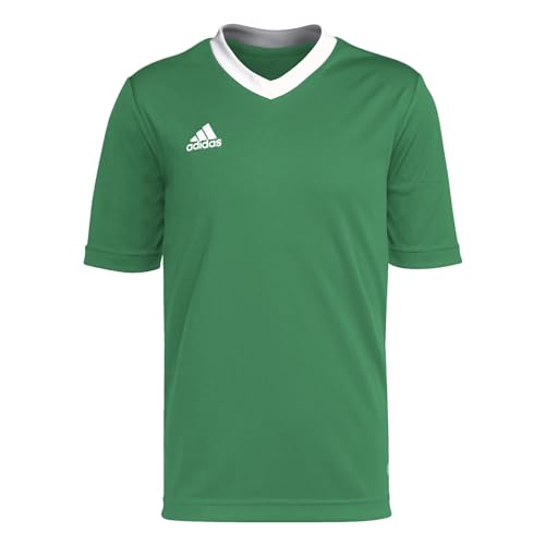 Team Green/White