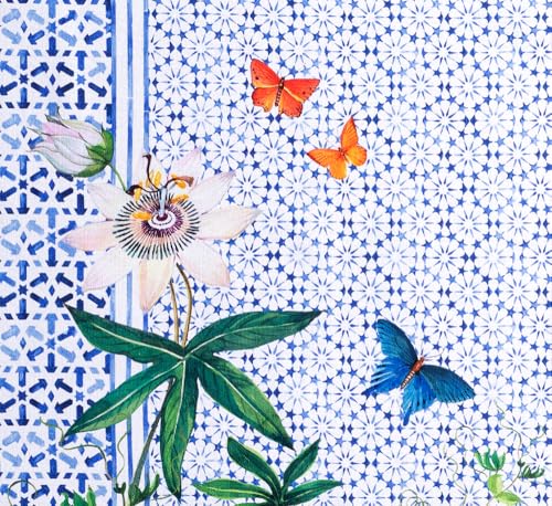 26 - Passiflora