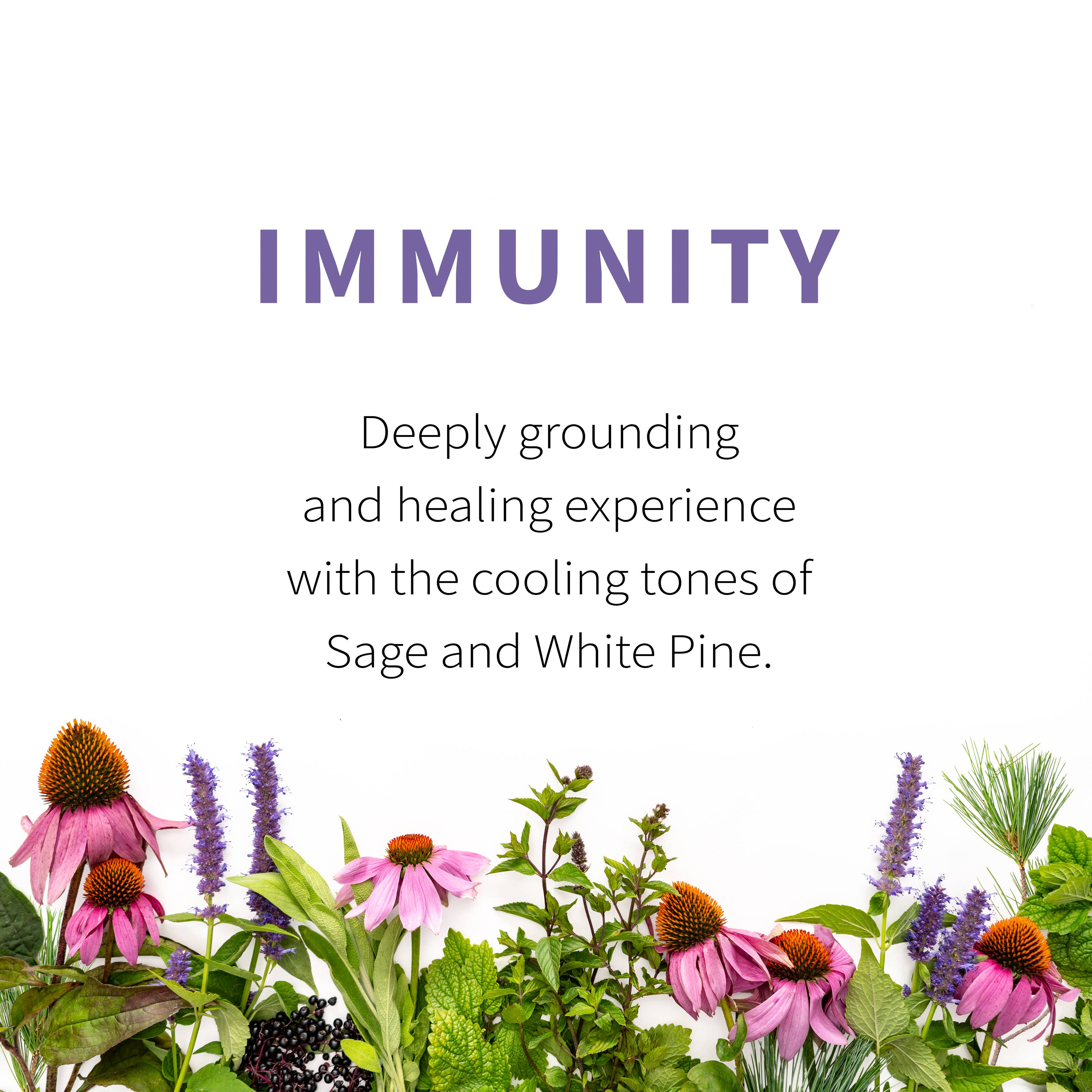 Best Immunity Boosting Supplements for Adults - Natural Immune Support Vitamins & Herbs for Daily Wellness & Cold Defense