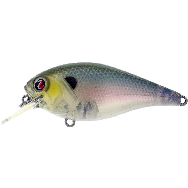 TS Minnow