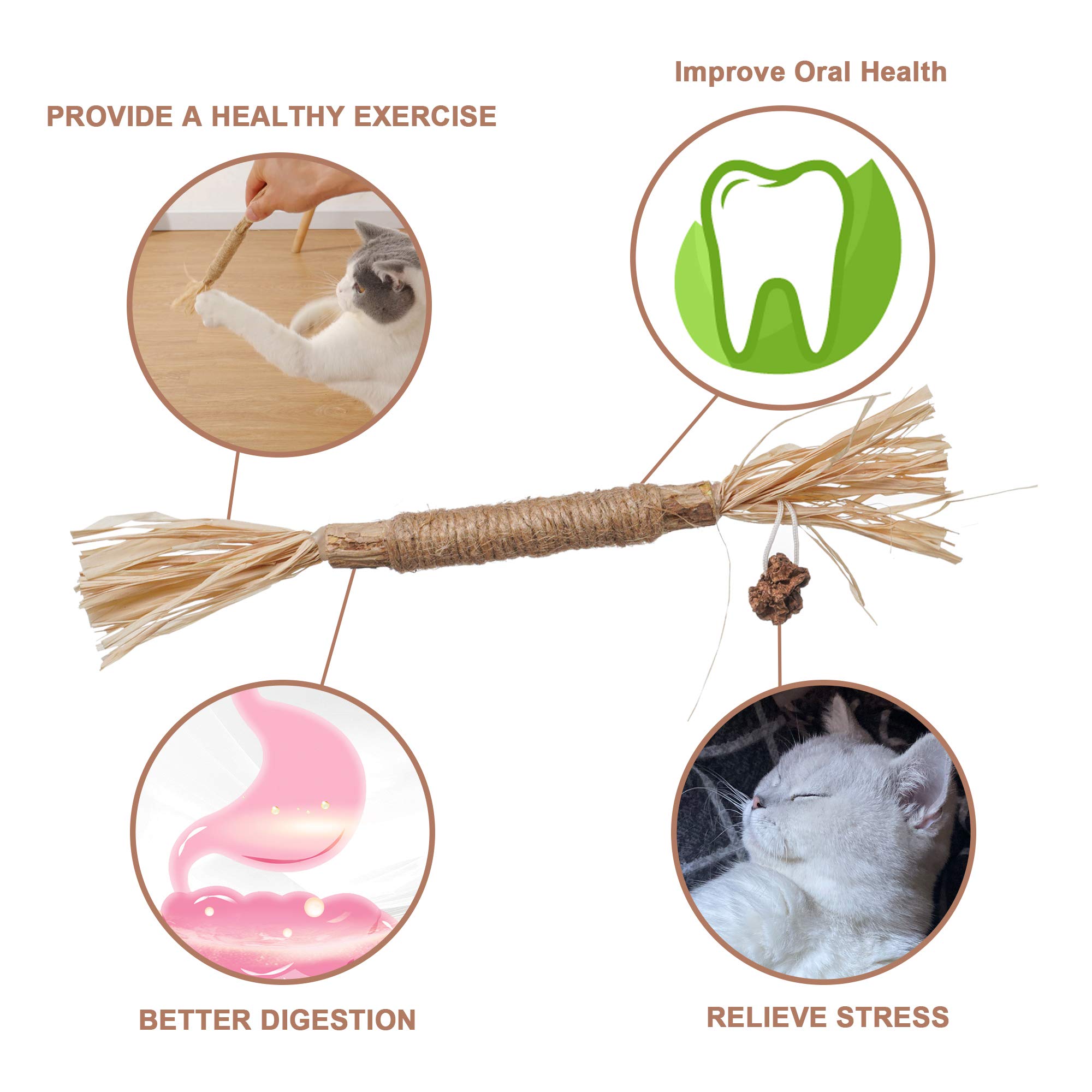 PAZ'S GIFT Natural Catnip Toys for Kittens - 3 Pack Silvervine Sticks with Raffia for Teeth Cleaning, Interactive Play & Dental Care - Perfect Indoor Cat Chew Toys for Teething, Kicking & Stress Relief