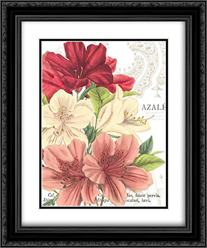 Azalee Jardin II - 15x17 Black Ornate Framed Museum Art Print with Double Matting | Wild Apple Portfolio | Perfect for Living Room, Bedroom & Office Wall Decor