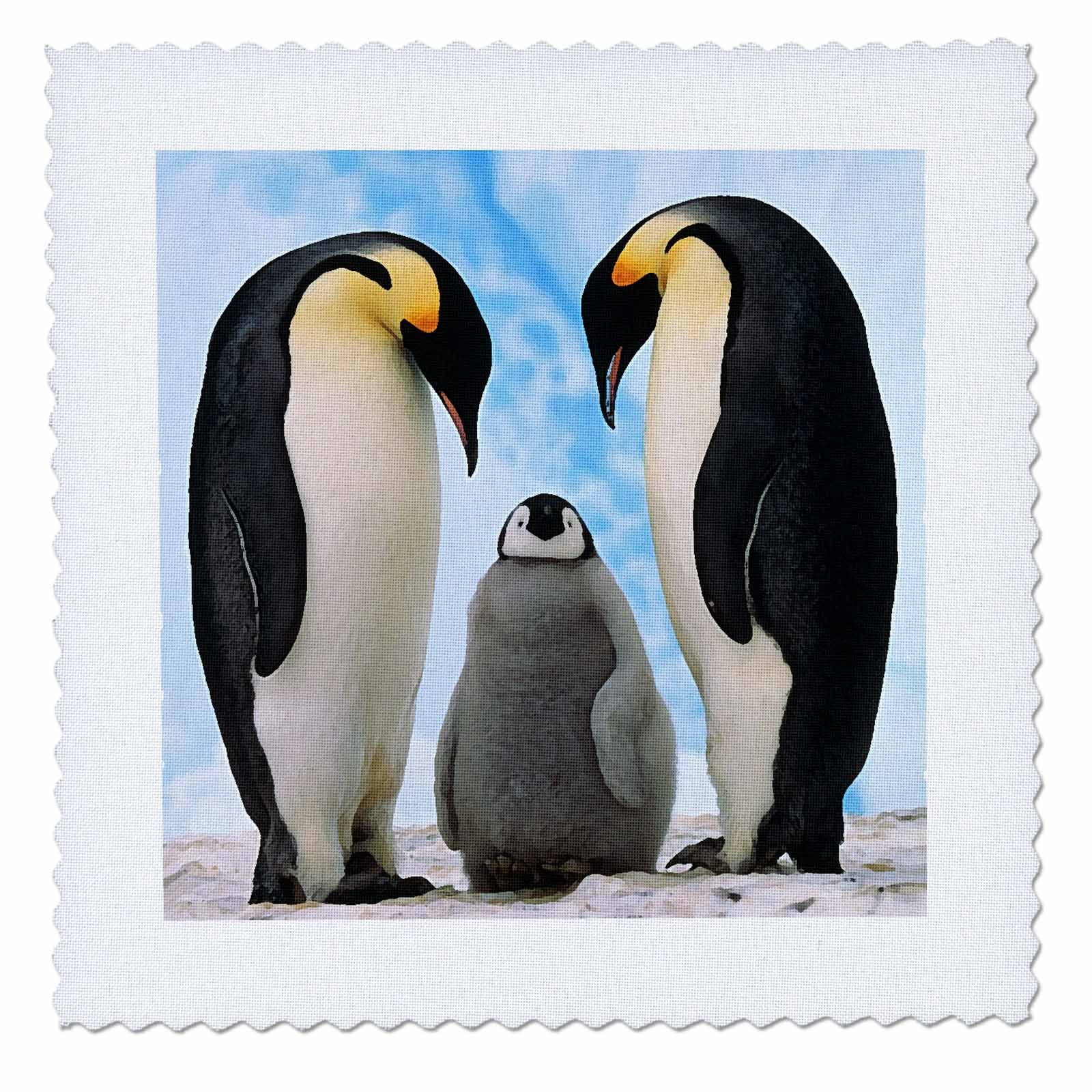 3dRose Emperor Penguin Family Quilt Square - 8x8 Inch (qs_4180_3) - Perfect for DIY Quilting, Scrapbooking & Home Decor Projects