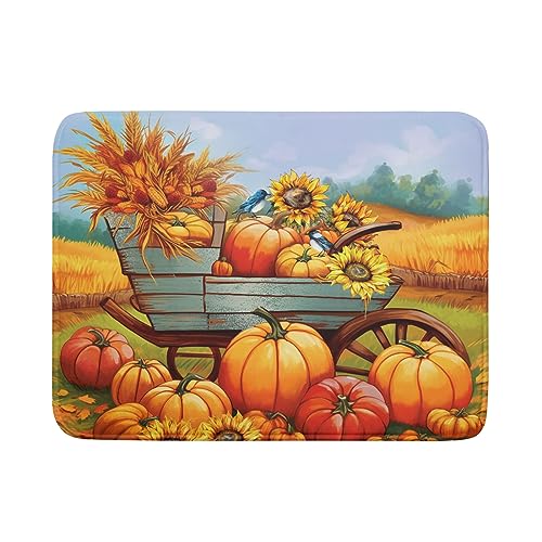 Sunflowers and Pumpkin230808