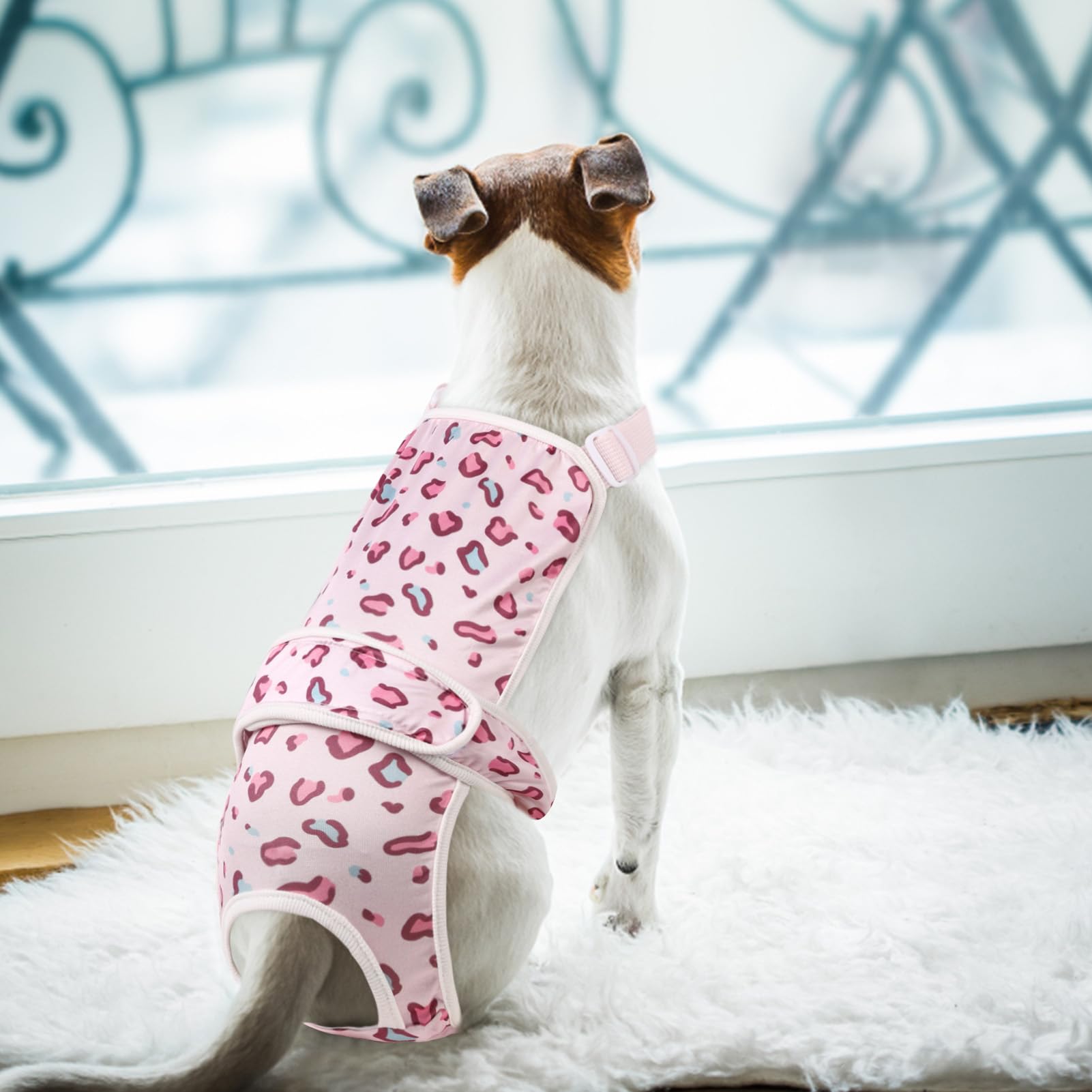 ASENKU 2 Pack Washable Dog Diapers for Small Female Dogs - Perfect for Heat & Period Care