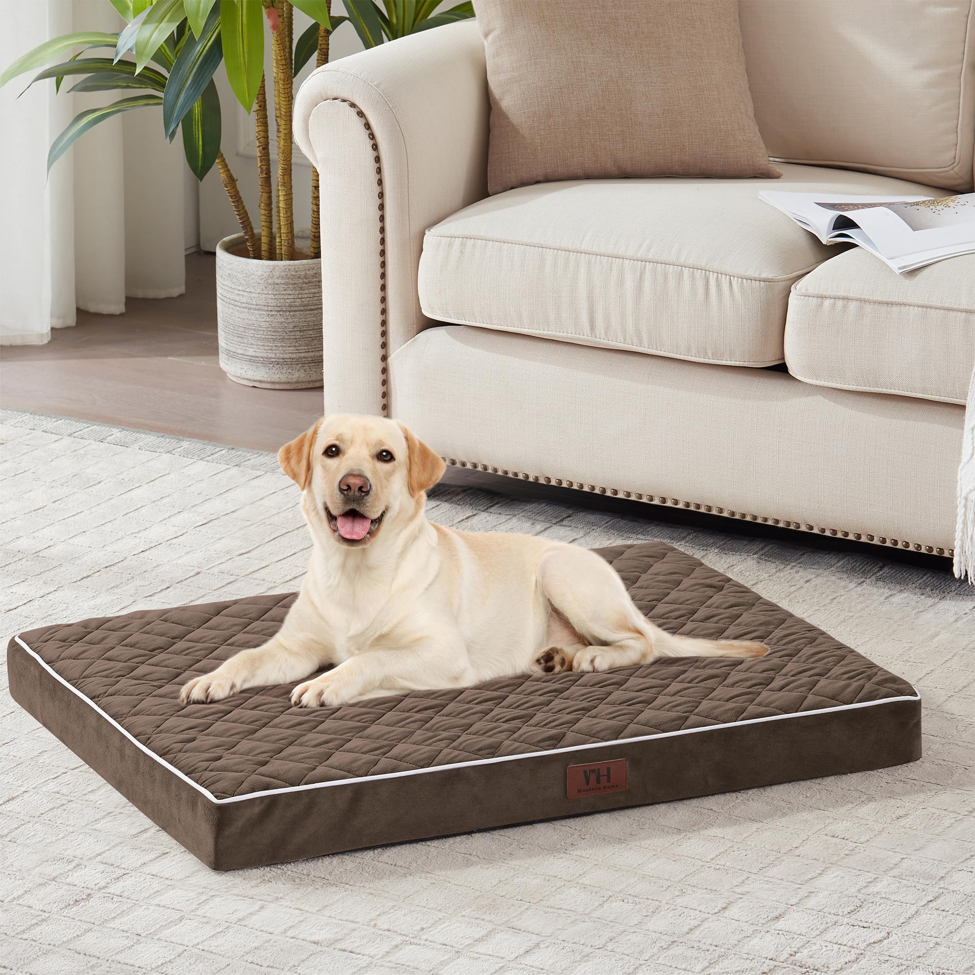 Orthopedic Dog Bed for Large Dogs - XXL XL Medium Size, Removable Washable Velvet Plush Cover, Anti-Slip Bottom, 36 Inch Kennel Pad - Perfect for Arthritis & Joint Pain Relief (Brown) - Ideal for Crates, Living Rooms & Bedrooms