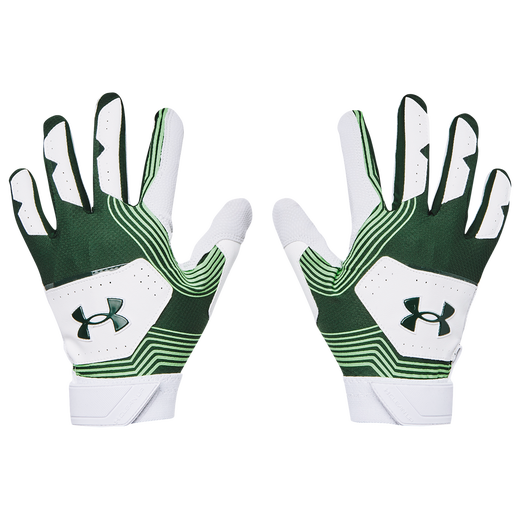 The Game-Changer: A Story of Passion, Perseverance, and the Perfect Batting Glove