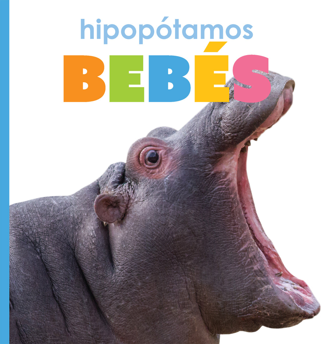 Cute Baby Hippo Plush Toy - Soft Stuffed Animal for Kids & Collectors | Perfect for Nursery Decor, Gifts & Cuddling