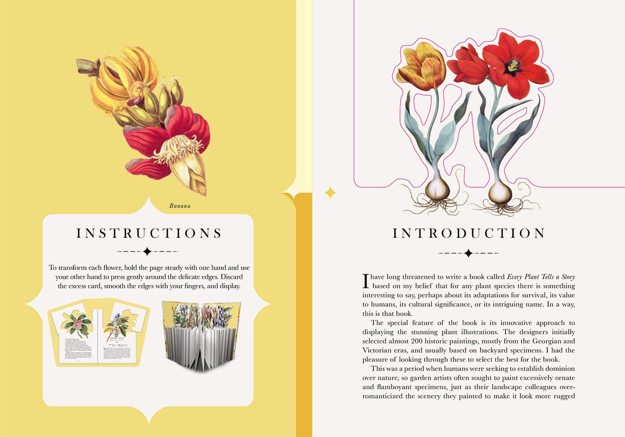 Paperscapes: The Flower Garden - Beautiful 3D Floral Pop-Up Book for Adults & Kids | Perfect for Home Decor, Gifts, and Relaxation