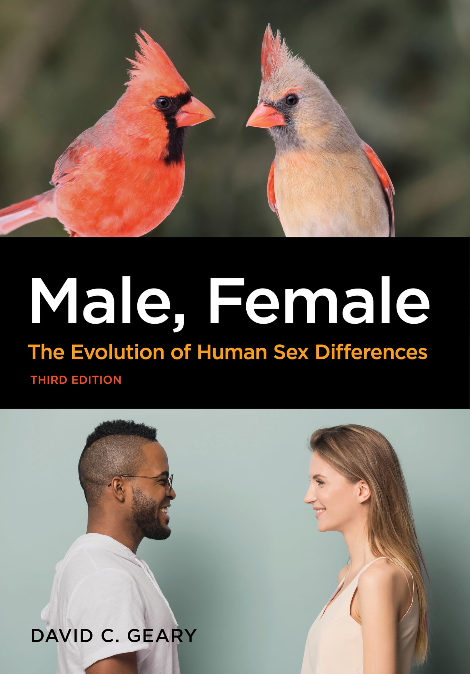 Male vs Female: The Evolution of Human Sex Differences | Understanding Gender Differences in Psychology, Biology & Society