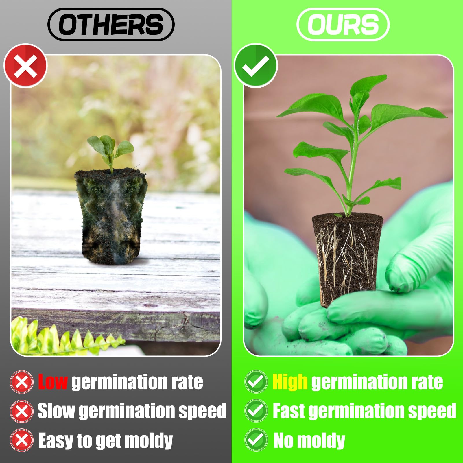 50 Pcs Rooting Sponges for Plants - Seed Starter Plugs for Seedlings & Cuttings, Rapid Rooting in Soil/Tray/Pods, Promotes Herb Vegetable Flower Growth - Ideal for Hydroponics, Indoor Gardening & Greenhouse Planting