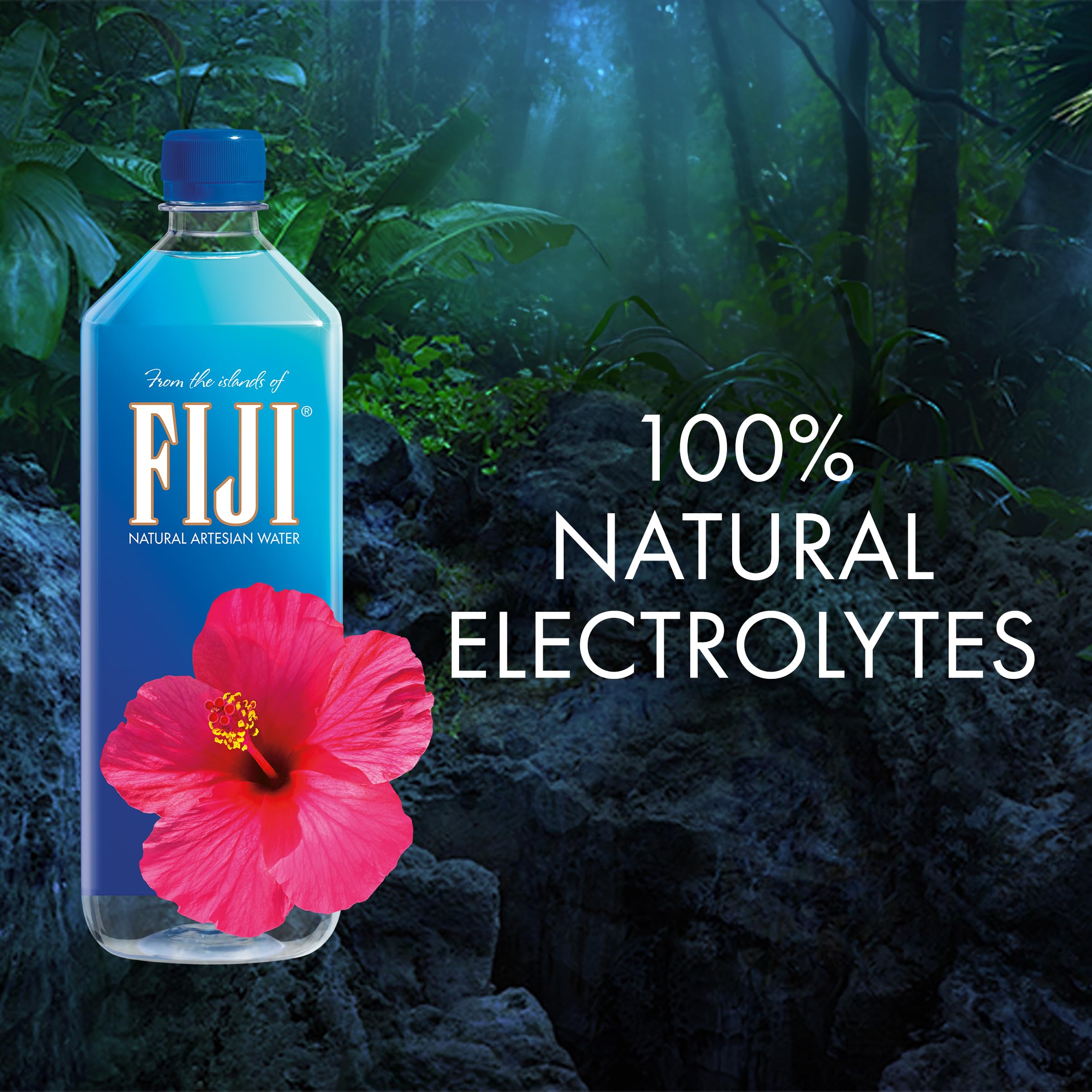 FIJI Natural Artesian Water 1 Liter (33.8 Fl Oz) - Pack of 6 Bottles | Premium Alkaline Mineral Water for Hydration, Gym, Office & Travel | BPA-Free, Naturally Filtered Spring Water