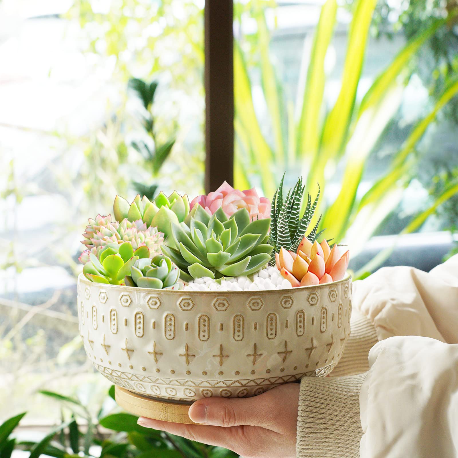 8 Inch White Ceramic Succulent Planter Pots with Drainage Hole - Round Shallow Bonsai Flower Pot with Bamboo Tray for Indoor Plants - Perfect for Home Decor, Office Desk, and Gift Ideas