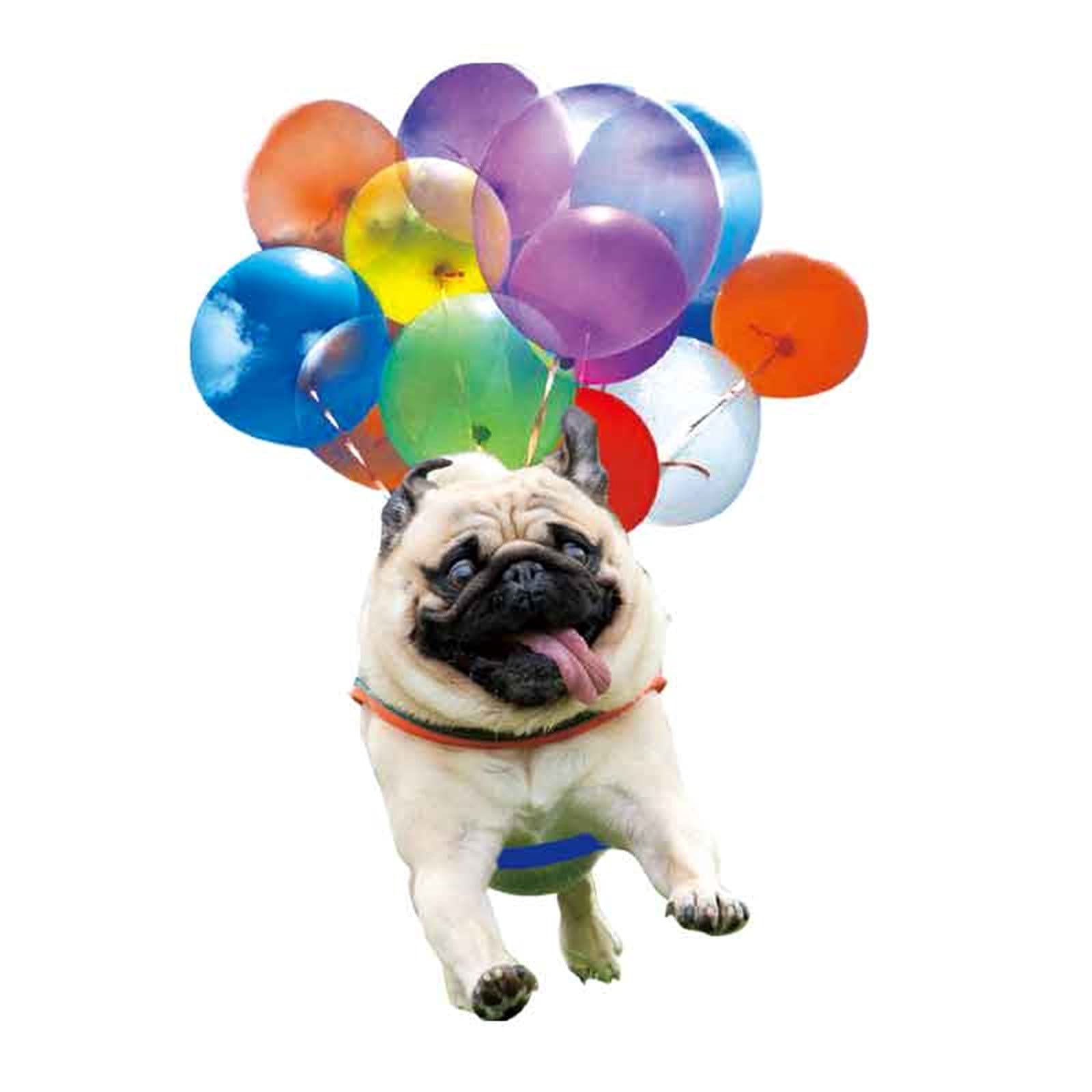 DFDGBD Flying Pendant - Hanging Car & Home Decor, Cute Dog Bubble Ornament for Backpack, Christmas Tree (Black) | Perfect for Holiday Decorations, Kids Room & Gift Giving