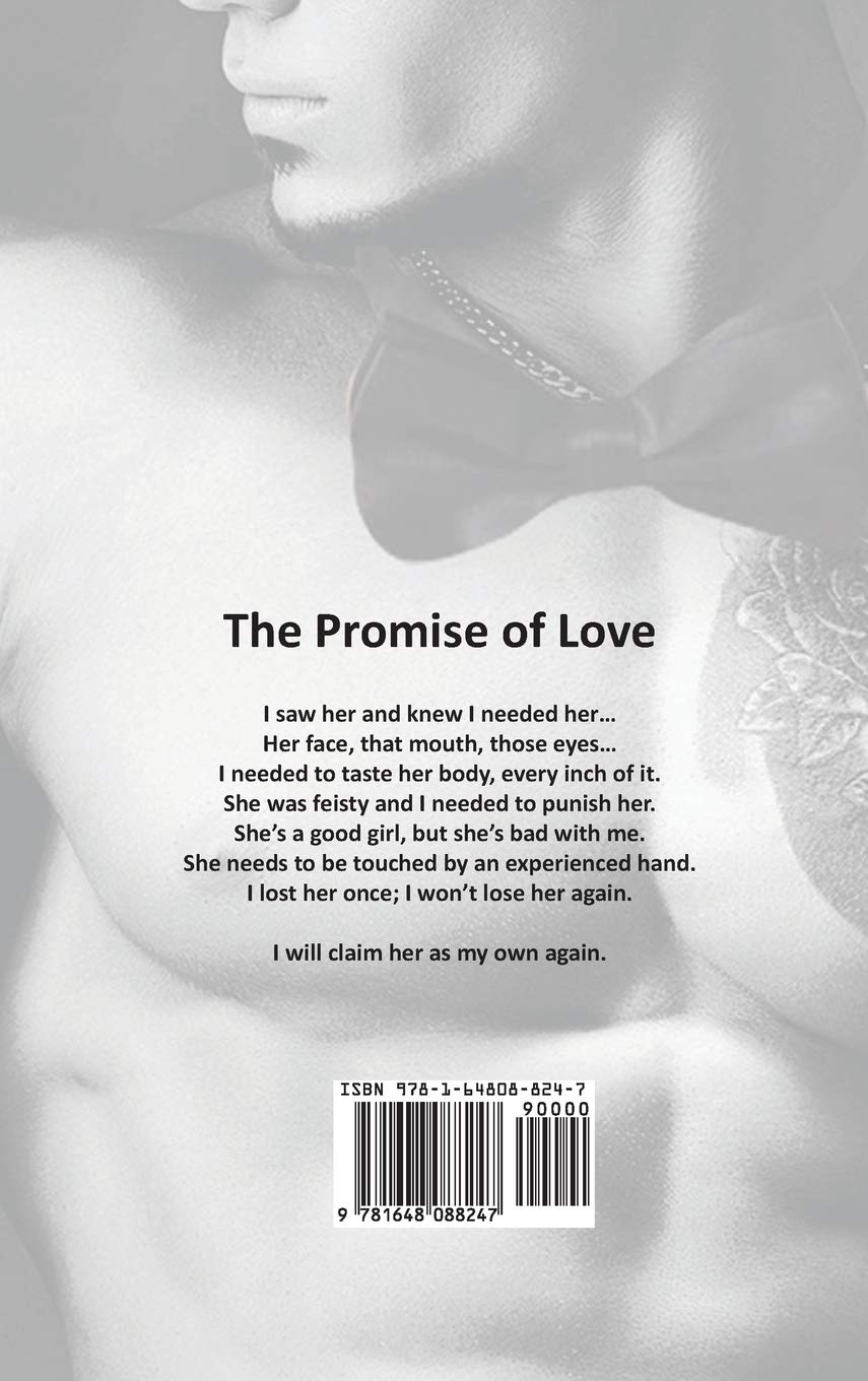 The Promise of Love: A Billionaire Romance Novel - Perfect for Beach Reads, Vacation Escapes & Romantic Getaways
