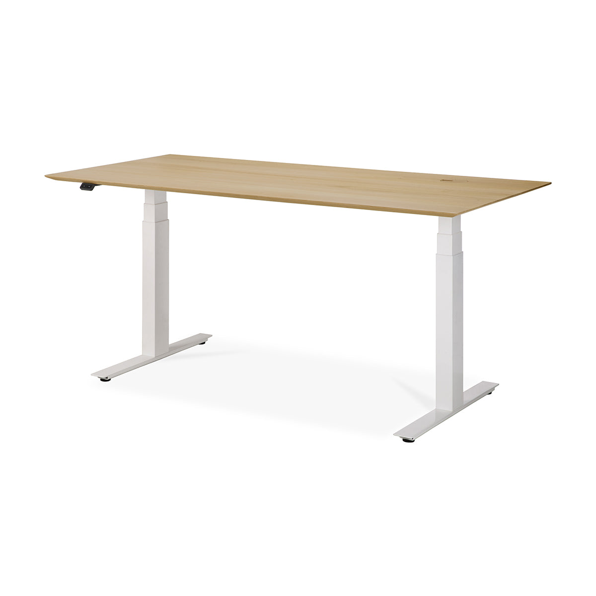 Adjustable Rectangle Office Desk with Cable Management - 160cm (Oak, White) | Ergonomic Home Office Furniture for Remote Work & Study