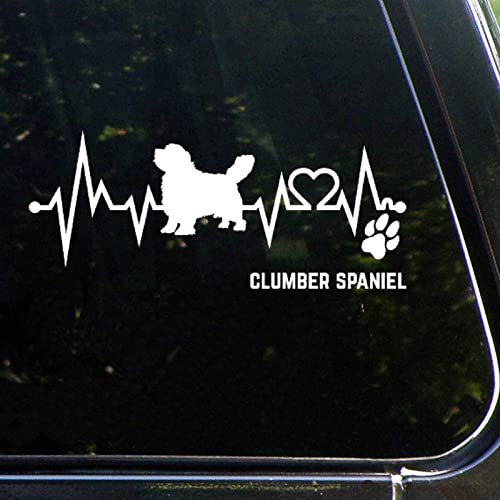Clumber Spaniel