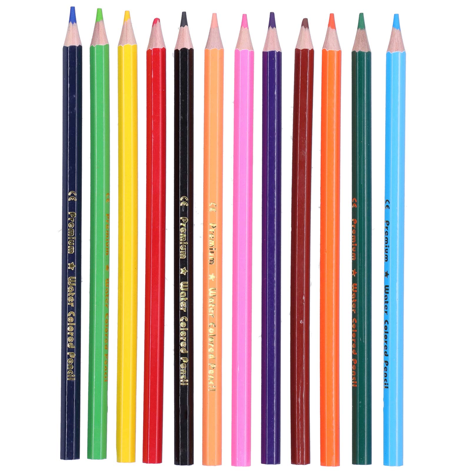 12-Color Sketch Pencils Set for Artists & Adults - Drawing & Coloring