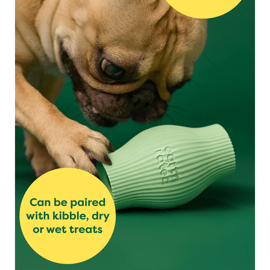 Earth Rated Dog Treat Toy - Durable Chew Toy for Small & Large Dogs - Interactive Play & Training Reward - Perfect for Indoor & Outdoor Use