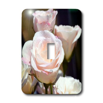 3dRose Lsp_22542_1 Rose Toggle Switch - Beautiful Floral Design for Home Decor, DIY Projects & Electrical Appliances | Perfect for Bedroom, Kitchen & Office Use