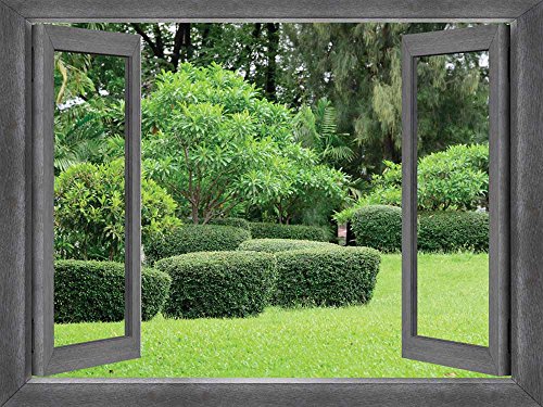 Tranquil Green Garden