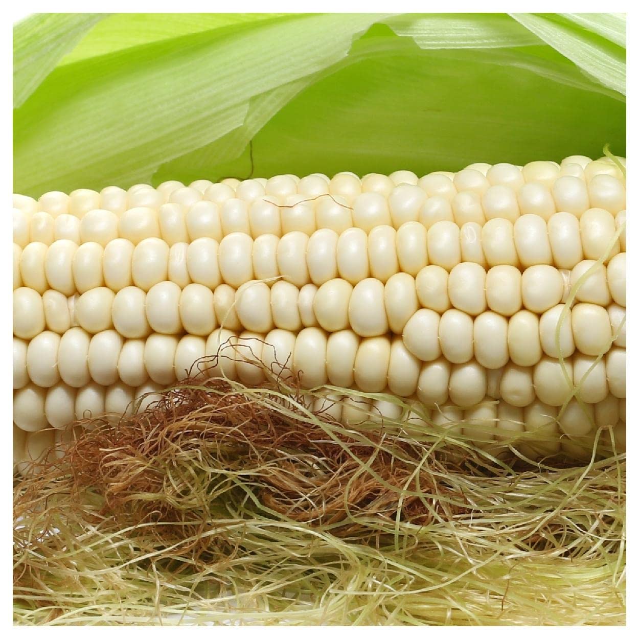 Everwilde Farms - 1/4 Lb Country Gentleman Open Pollinated Corn Seeds - Non-GMO Heirloom Variety for Home Gardening & Sustainable Farming - Perfect for Corn Mazes, Fresh Eating & Canning