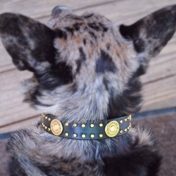 Premium Outlaw Leather Dog Collar - Handmade Genuine Leather Pet Collar with Heavy Duty Buckle for Medium & Large Dogs - Perfect for Training, Walking & Outdoor Adventures