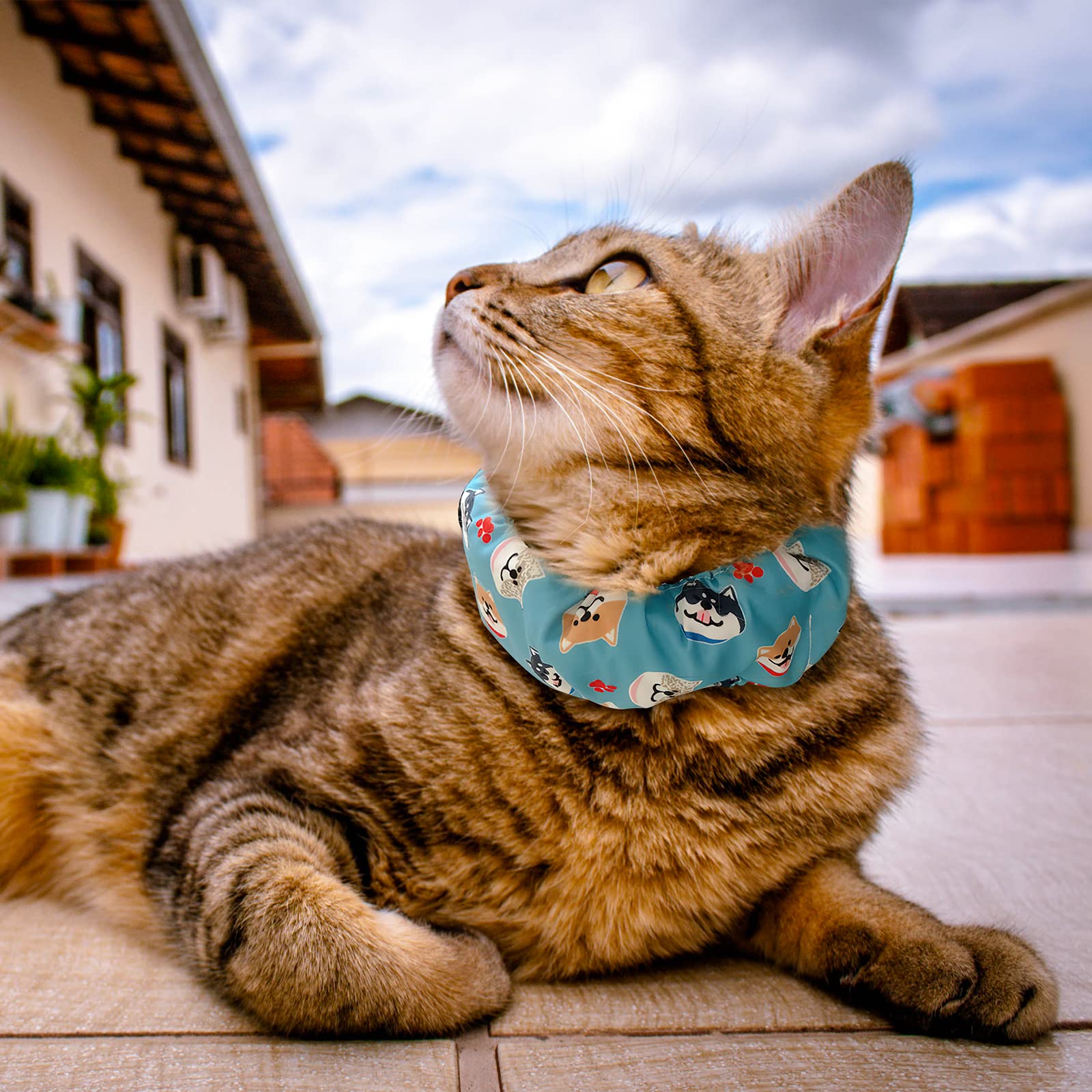 KUDES Cooling Dog Bandana Collar with Reusable Ice Packs - Adjustable Pet Neck Cooler Wrap for Small Medium Large Dogs & Cats - Summer Heat Relief Accessory (Blue, Medium) - Perfect for Outdoor Walks, Beach Trips & Hot Weather Playtime