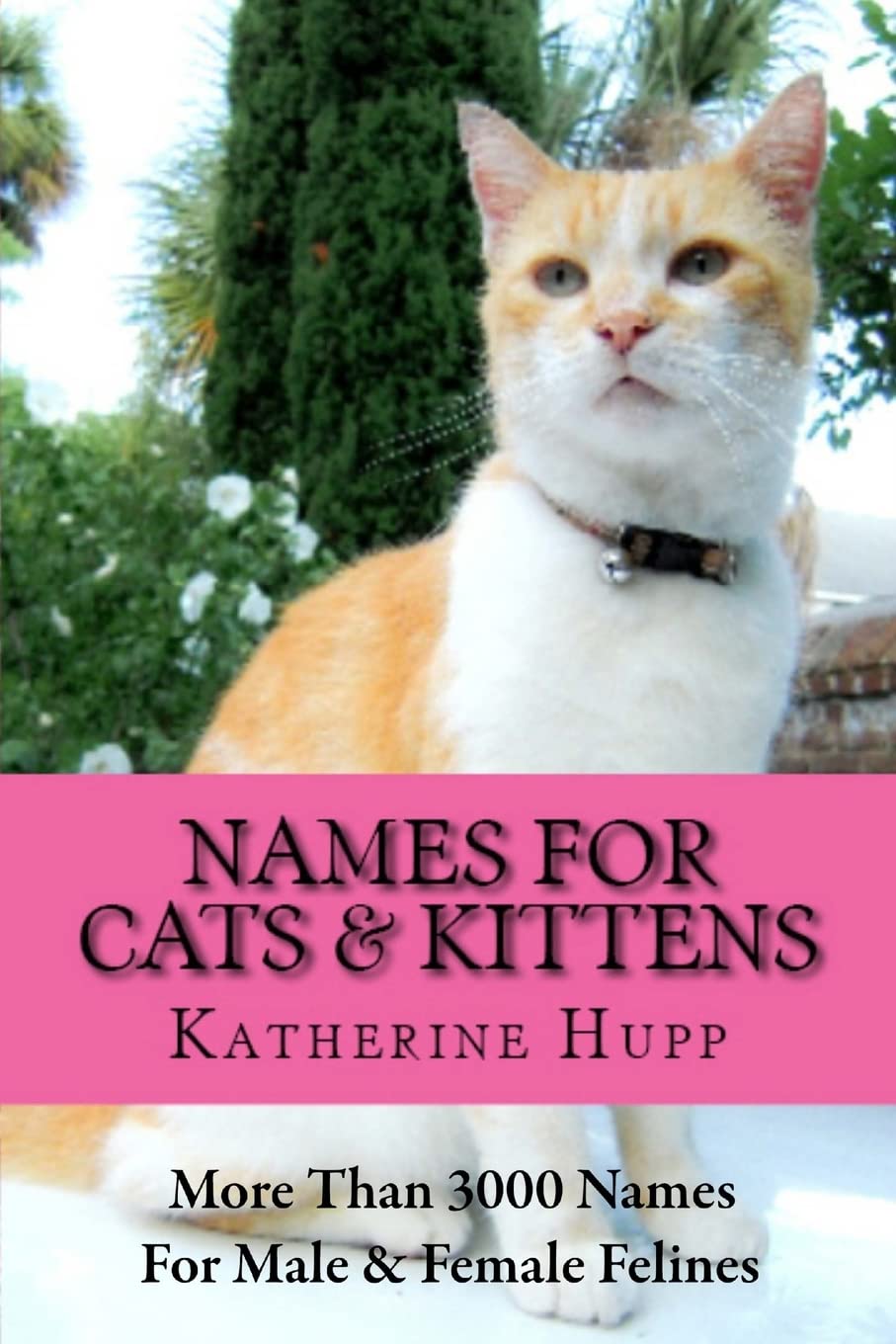 3000+ Unique Cat Names for Male & Female Kittens - Perfect for Naming Your New Pet or Stray Cat