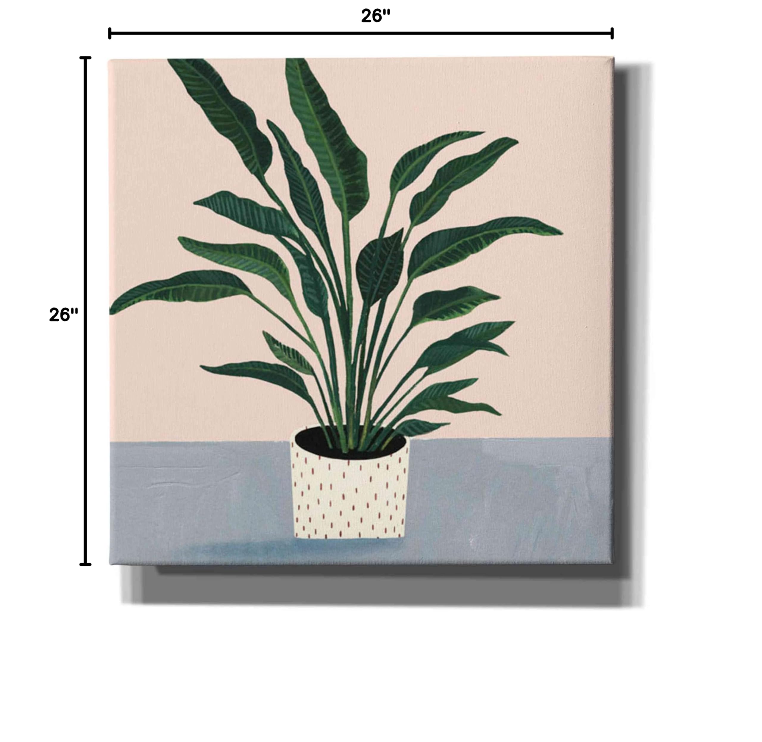 Victoria Borges 'Houseplant IV' 26x26 Inch Canvas Wall Art - Modern Botanical Decor for Living Room, Bedroom & Office